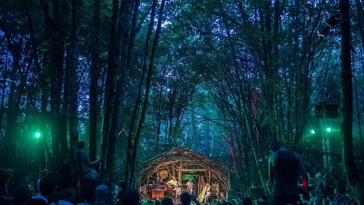 Pickathon 2025 festival atmosphere