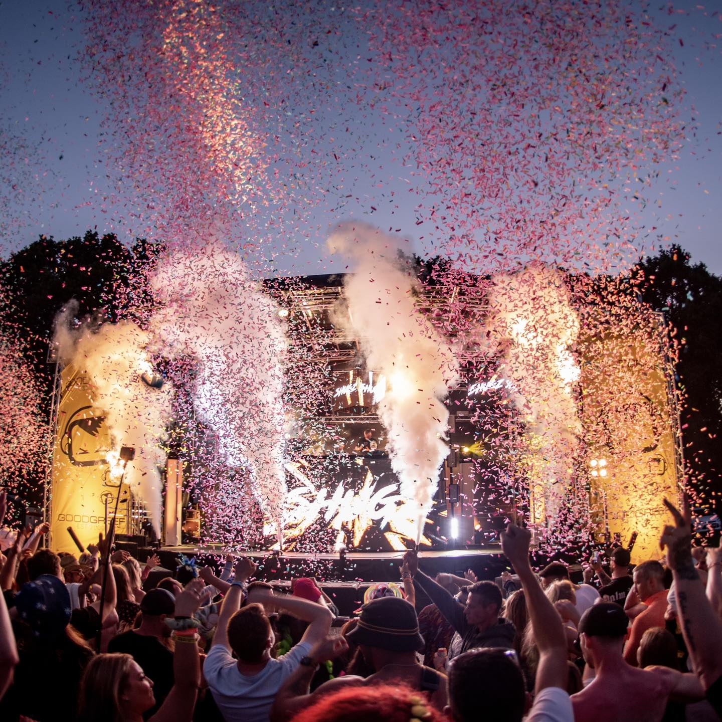 Trance In The Woods 2025 festival atmosphere